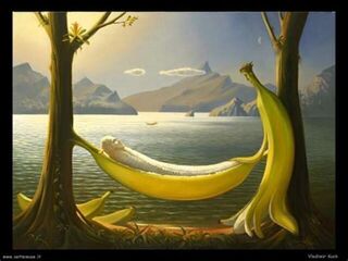 Vladimir Kush